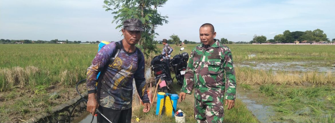 Babinsa Koramil 1603/Lohbener Pererat Silaturahmi Melalui Komsos Bersama Masyarakat Desa Sukadadi