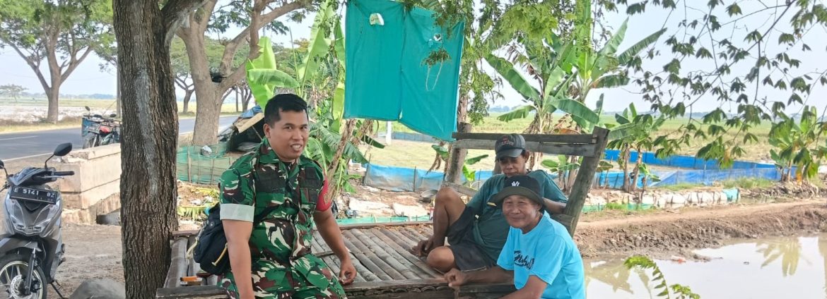 Komsos Anggota Koramil 1601/Indramayu di Wilayah Binaan Desa Balongan, Pererat Sinergi dengan Petani Demi Ketahanan Pangan
