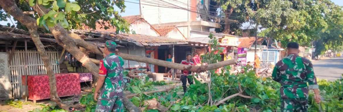 Gercep! Danramil 1601/Indramayu Pimpin Pembersihan Pohon Tumbang yang Menutupi Jalan Ir. H. Juanda