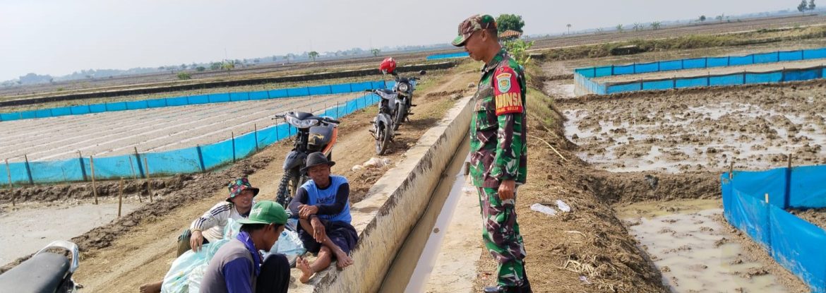 Babinsa Koramil 1611 Losarang Dampingi Petani, Dorong Percepatan Tanam dan Antisipasi Bahaya Penggunaan Listrik di Sawah