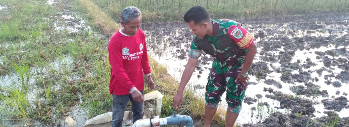 Babinsa Koramil 1605 Sukagumiwang Intensifkan Monitoring dan Pendampingan Pertanian di Desa Tegal Wirangrong