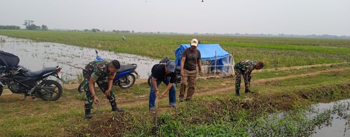 Babinsa Koramil 1603/Lohbener Laksanakan Gotong Royong Bersihkan Enceng Gondok dan Sampah di Sungai