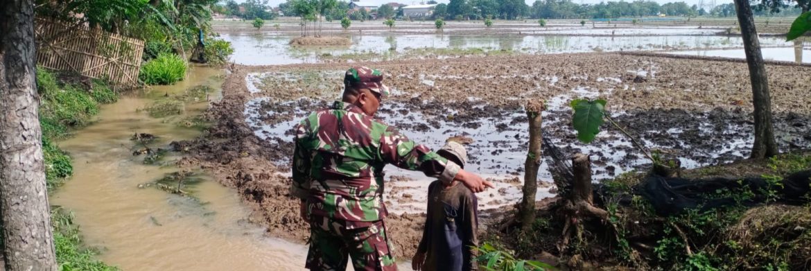 Babinsa Koramil 1605 Sukagumiwang Intensif Dampingi Petani, Pastikan Kesiapan Lahan Pascapanen