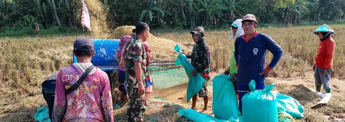 Babinsa Koramil 1605/Sukagumiwang Monitoring dan Dampingi Petani di Desa Kertasemaya, Pastikan Kesiapan Lahan Pasca Panen