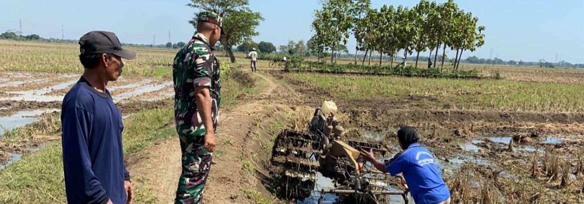 Babinsa Koramil 1605/Sukagumiwang Intensif Dampingi Petani, Pastikan Olah Lahan Berjalan Optimal di Desa Jengkok