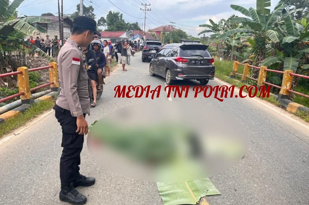 Kecelakaan di Sanggau! Kecepatan Tinggi, 2 Remaja 15 dan 12 Tahun T3w4s Ditempat usai Vixion Vs Revo
