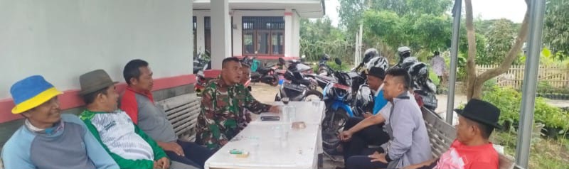 Babinsa Koramil 1610/Krangkeng Sigap Ajak Poktan Percepat Tanam MT II Sadon Demi Perkuat Ketahanan Pangan