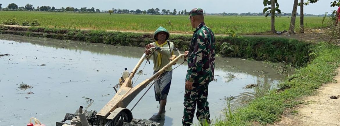 Babinsa Koramil 1605 Sukagumiwang Dampingi Petani Olah Lahan Sawah di Desa Jengkok