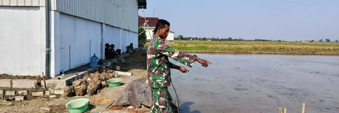 Babinsa Koramil 1605 Sukagumiwang Monitoring dan Dampingi Petani, Pastikan Pertumbuhan Padi di Desa Lemahayu Berjalan Optimal