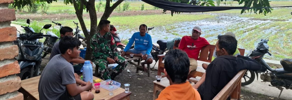 Babinsa Koramil 1601/Indramayu Komsos Bersama Petani Sudimampir, Dorong Percepatan Olah Lahan Hadapi Musim Kemarau