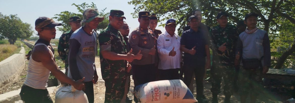 Dandim 0616/Indramayu Hadiri Panen Raya Petani Desa Srengseng, Dukung Program SERGAP Bulog