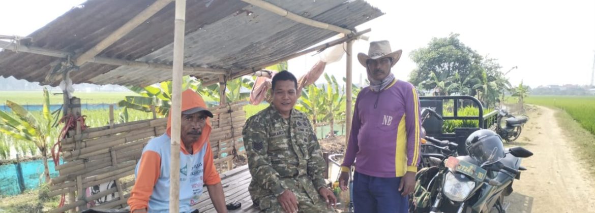 Babinsa Koramil 1601/Indramayu Perkuat Sinergi dengan Petani Majakerta, Bahas Antisipasi El Nino hingga Penyakit Padi