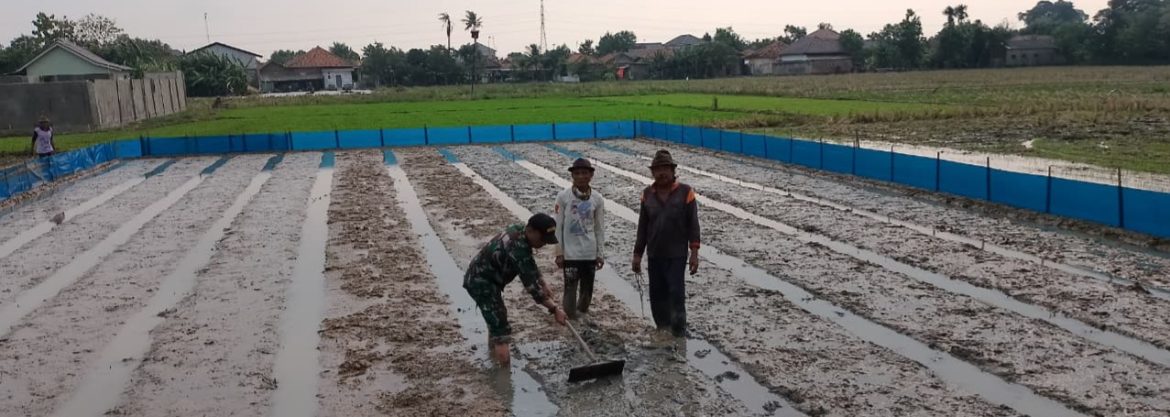 Babinsa Koramil 1605 Sukagumiwang Laksanakan Monitoring dan Pendampingan Pertanian di Desa Tenajar Kidul
