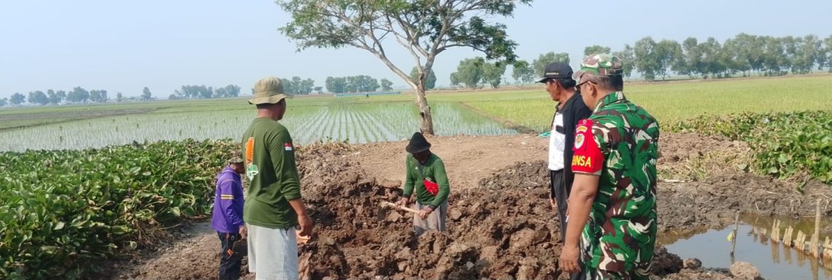 Babinsa Koramil 1611/Losarang Perkuat Sinergi dengan Petani Melalui Komsos di Desa Pangkalan