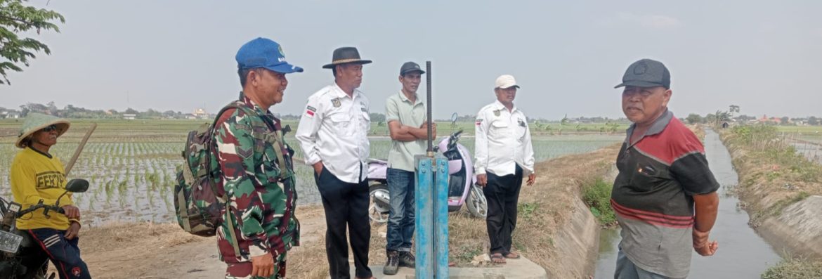 Komsos Babinsa Koramil 1601/Indramayu Perkuat Sinergi dengan Perangkat Desa dan Kelompok Tani di Desa Tegalsembadra