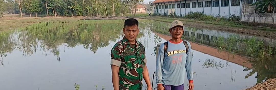 Anggota Koramil 1605 Sukagumiwang Intensif Dampingi Petani, Pastikan Kesiapan Lahan Sawah di Desa Gedangan