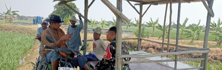 Babinsa Koramil 1601/Indramayu Komsos Bersama Kelompok Tani di Desa Tegalsembadra, Dorong Antisipasi Kekurangan Air Saat Musim Kemarau
