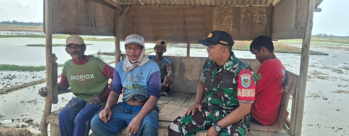 Babinsa Koramil 1608/Karangampel Pererat Silaturahmi dengan Petani, Dorong Terwujudnya Swasembada Pangan