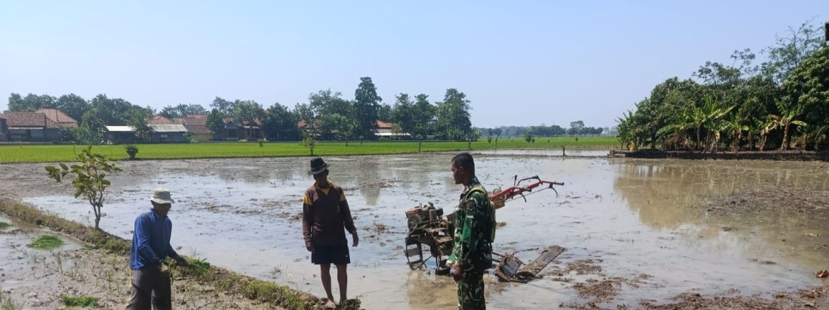 Babinsa Koramil 1605 Sukagumiwang Intensif Dampingi Petani, Pastikan Kondisi Sawah Desa Lemahayu Tetap Optimal