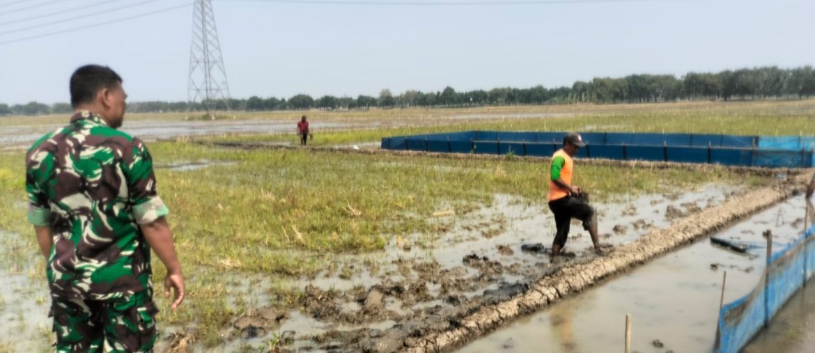 Babinsa Koramil 1605 Sukagumiwang Aktif Dampingi Petani, Cek Kesiapan Olah Lahan di Tenajar Lor