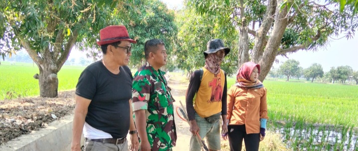 Babinsa Koramil 1601/Indramayu Komsos Bersama Petani Desa Telukagung
