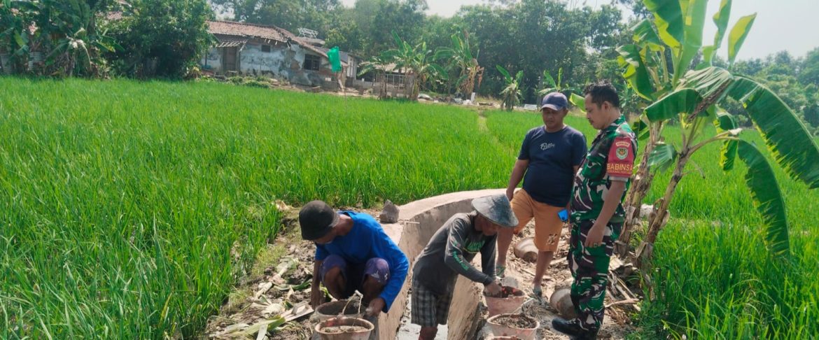 Babinsa Koramil 1601/Indramayu Perkuat Komsos, Dorong Ketahanan Pangan Bersama Warga Desa Plumbon