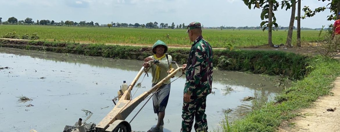 Babinsa Koramil 1605/Sukagumiwang Dampingi Petani Desa Jengkok, Pastikan Persiapan Lahan Berjalan Lancar