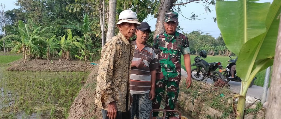Babinsa Koramil 1605 Sukagumiwang Dampingi Petani, Pantau Persiapan Musim Tanam di Tenajar Kidul