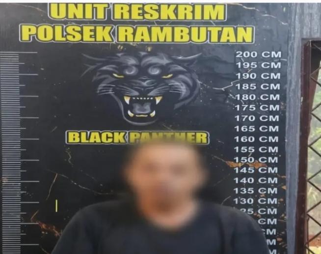 Polsek Rambutan Tangkap 1 Pelaku Curas Di desa Kebun Sahang Banyuasin