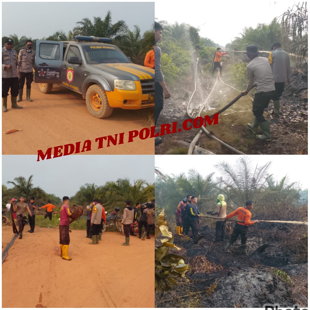 Respon Cepat Tim Gabungan Polres Landak Dan Polsek Ngabang Padamkan Karhutla 30 Hektare di Perkebunan PT Saraswati