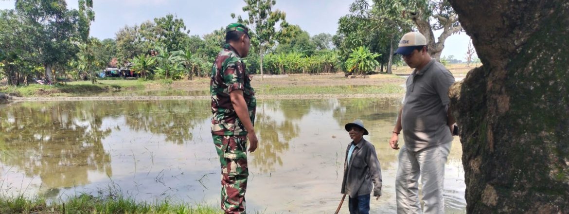 Babinsa Koramil 1605/Sukagumiwang Monitoring dan Dampingi Petani Olah Lahan di Tenajar Lor
