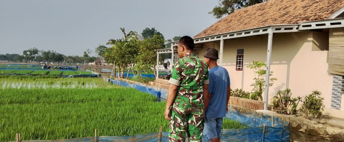 Babinsa Koramil 1605 Sukagumiwang Dampingi Petani Gunungsari, Pastikan Pengairan Sawah Lancar Jelang Tanam Padi
