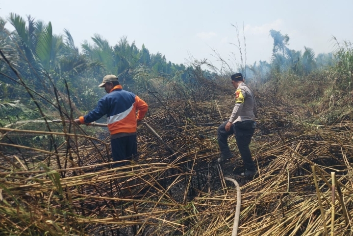 Bhabinkamtibmas Bersama Masyarakat Tangani Karhutla di Desa Teluk Payo