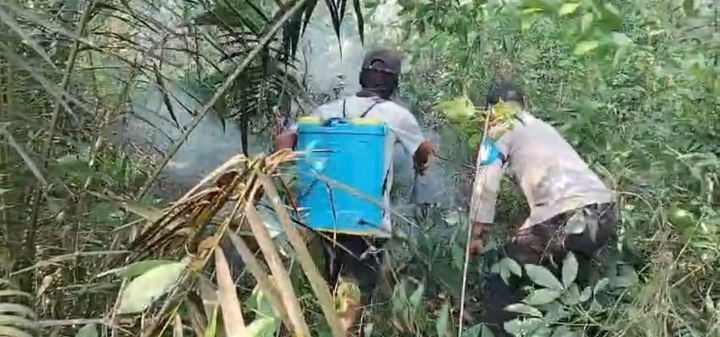 Polsek Air Kumbang Bersama MPA Padamkan Hotspot di Desa Rimba Jaya