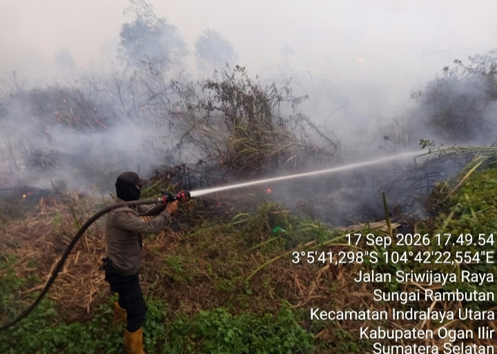 Tim Gabungan Dinginkan 10 Hektare Lahan Karhutla di Sungai Rambutan