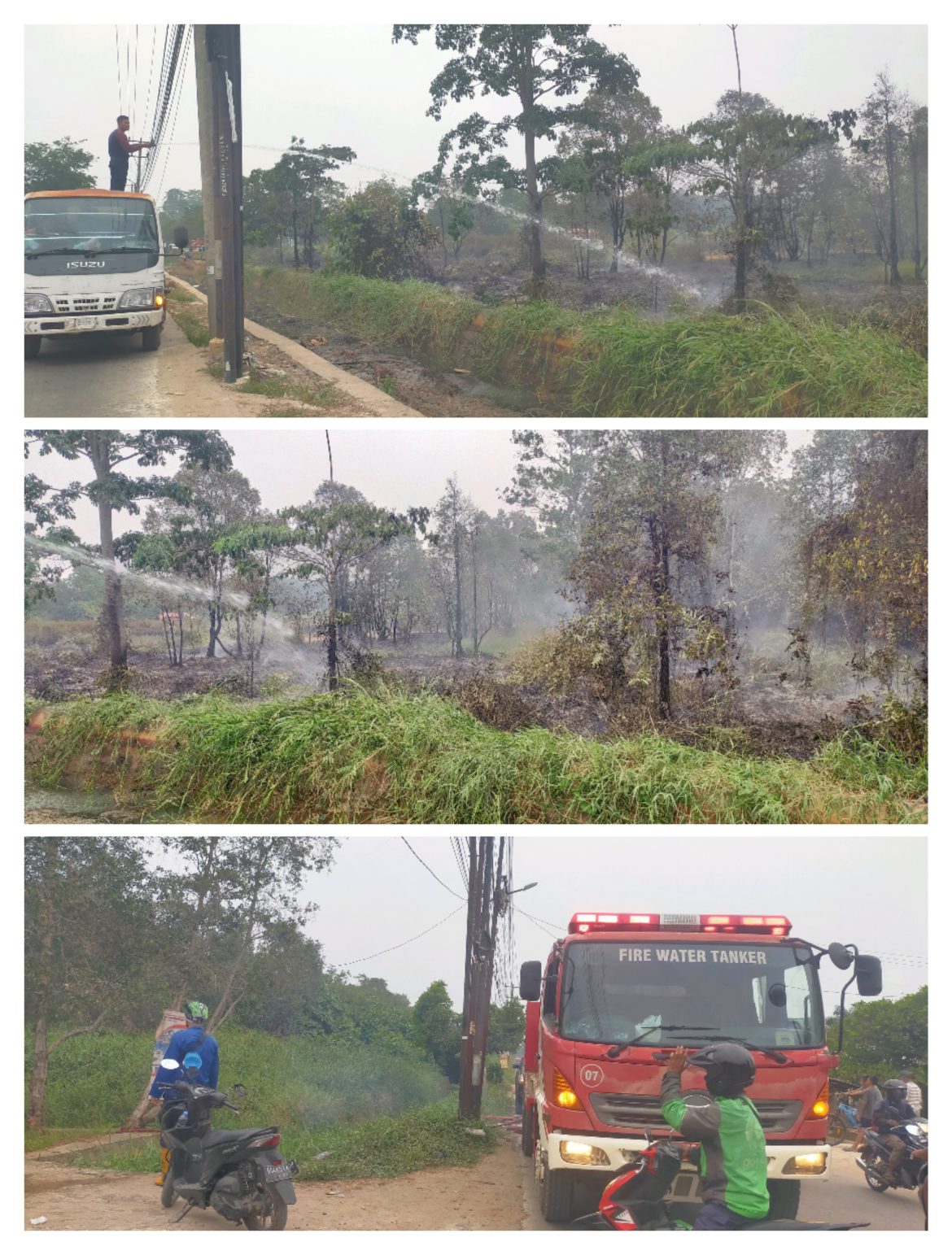 Kebakaran Lahan Dekat TPU Sematang Borang, BPBD dan Damkar Bergerak Cepat