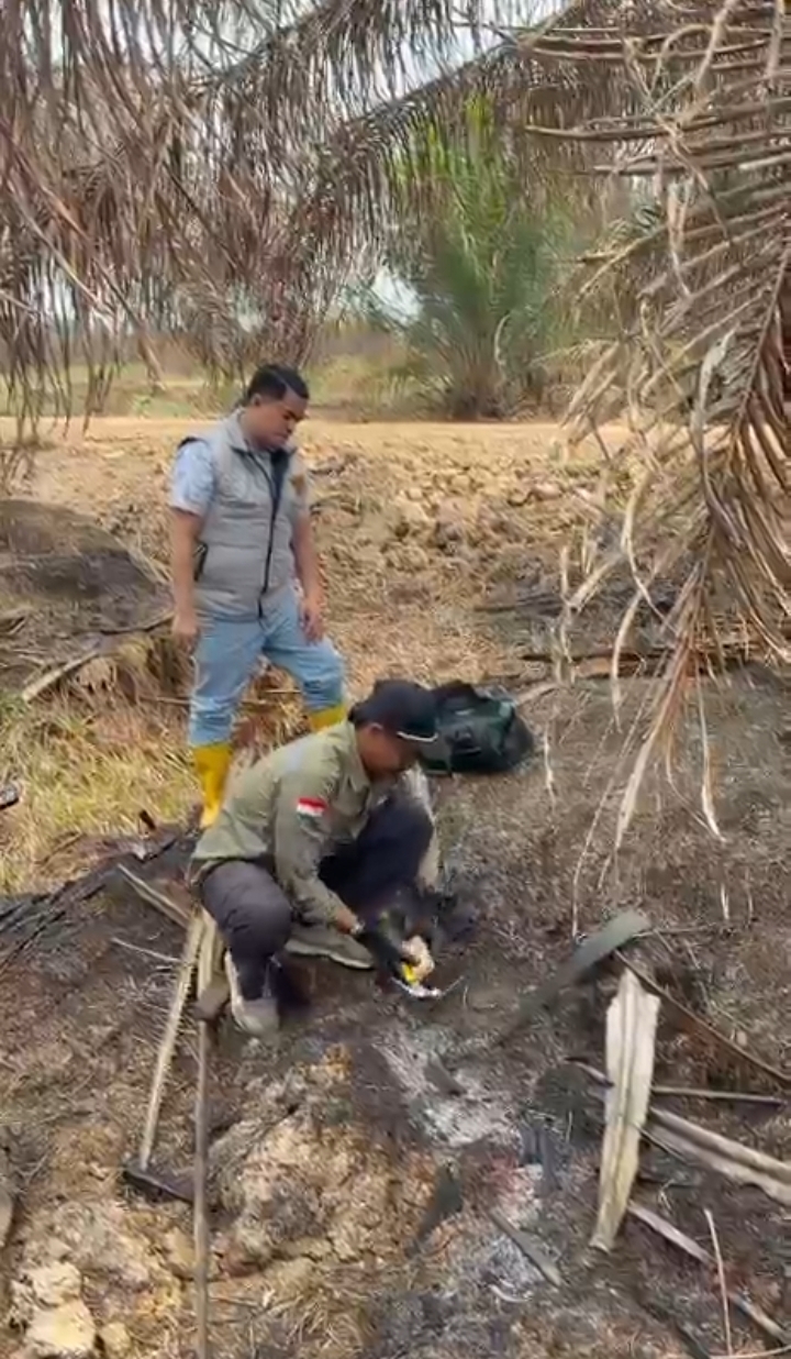Ditreskrimsus Polda Sumsel Dampingi Ahli IPB Ambil Sampel Lahan Terbakar di Ogan Ilir