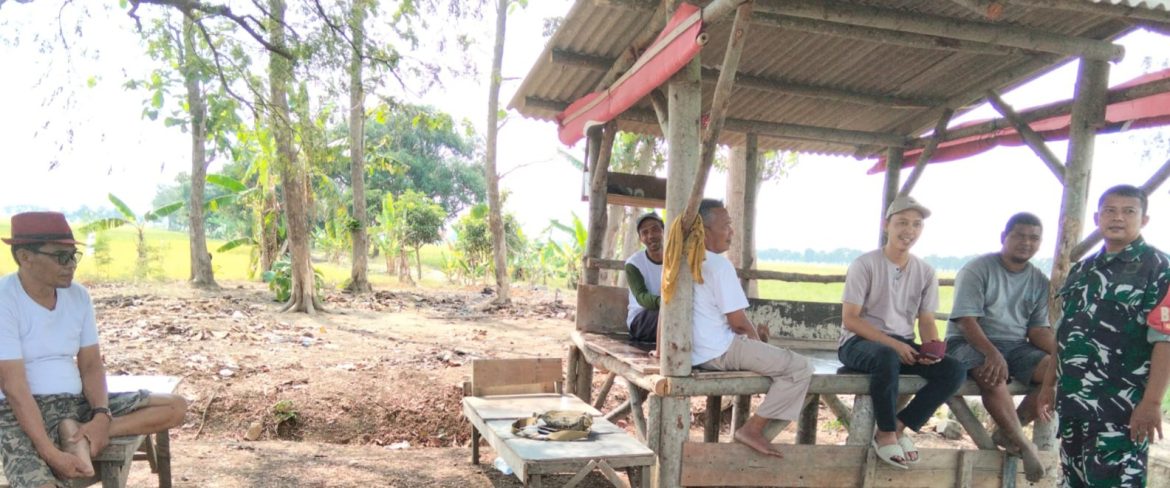 Jelang Panen, Babinsa Koramil 1601/Indramayu Ajak Petani Waspadai Hama dan Jaga Kamtibmas