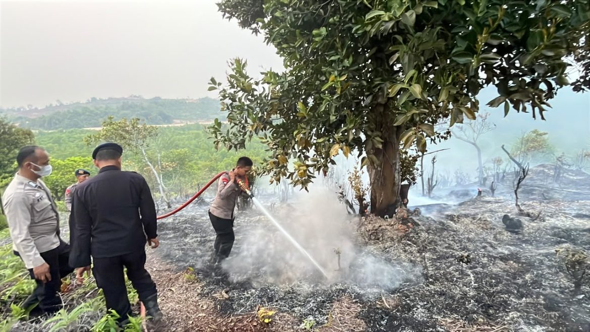 SATBRIMOB POLDA KEPRI GERAK CEPAT PADAMKAN KEBAKARAN LAHAN DI TIWANGKANG