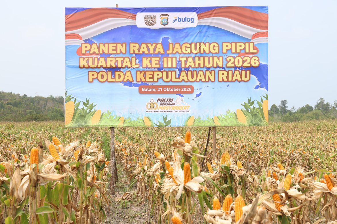 PANEN RAYA JAGUNG PIPIL, POLDA KEPRI PERKUAT KETAHANAN PANGAN BERSAMA KELOMPOK TANI