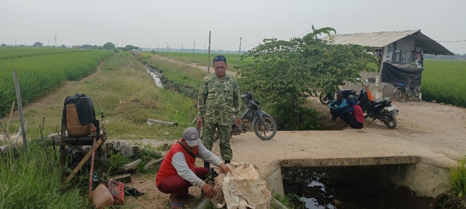 Babinsa Koramil 1605/Sukagumiwang Monitoring dan Dampingi Petani di Desa Tulungagung