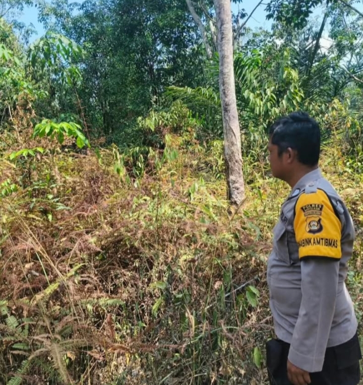 Tujuh Hotspot Terdeteksi di Wilayah Pulau Rimau, Polisi Lakukan Ground Check