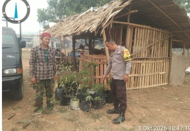 Bhabinkamtibmas Talang Kelapa Gerakkan Warga Manfaatkan Pekarangan, Dukung Swasembada Pangan